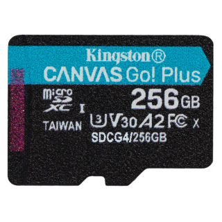 Kingston Canvas Go Plus MicroSDXC Memory card 256GB (SDCG4/256GBSP)