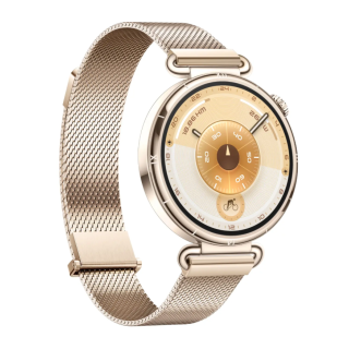 Huawei Watch GT6 Smartwatch 41mm Gold (55020FTP)