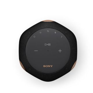 Sony SRS-RA3000 Speaker (SRSRA3000B.CEL)
