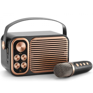 LTC YS-104 Portable Bluetooth Speaker / Karaoke with Microphone (LXYS104)