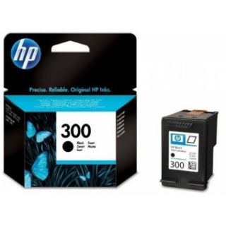 HP 300 Ink Cartridge (CC640EE)