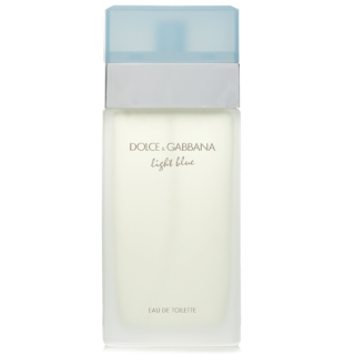 Dolce & Gabbana Light Blue Perfume EDT / 100 ml / Tester (3423473026709)