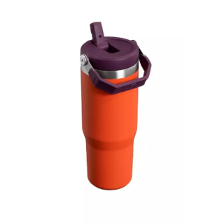 Stanley The IceFlow Flip Straw Tumbler Thermal Bottle 0.89L (1210001957831)