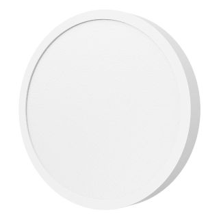Xiaomi BHR07RIGL Smart ceiling light 17W (BHR07RIGL)