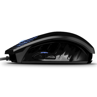 Liocat MX 757C Mouse (GSM108889)