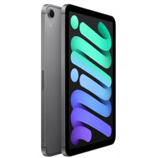 Apple iPad mini (A17 Pro) Wi-Fi + Cellular Tablet 128GB Space Gray (MXPN3HC/A)