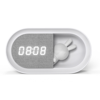 Forever Light FNL-05 Desk clock with Night Light (FNL-05)
