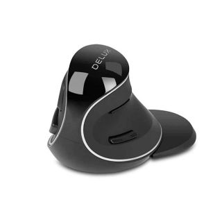 Delux M618PD Wireless Mouse (M618PD)