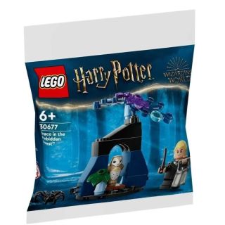 LEGO 30677 Draco In The Forbidden Forest Building Sets (30677)