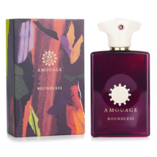 Amouage Boundless Perfume EDP 100ml (701666370024)