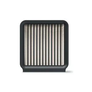 Philips XV1770/10 Vacuum Supply Filter (XV1770/10)