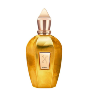 Xerjoff Accento Overdose Perfume EDP 100ml Tester (8054320902621)