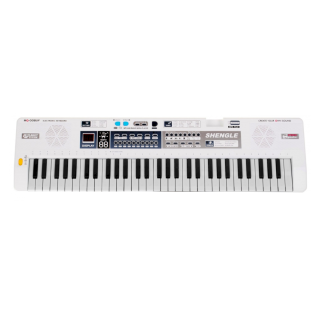 RoGer MQ-008UF Children's Synthesizer with microphone / 61 keys / 16 tones / radio (RO-MQ-008UF)