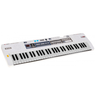 RoGer MQ-008UF Children's Synthesizer with microphone / 61 keys / 16 tones / radio (RO-MQ-008UF)