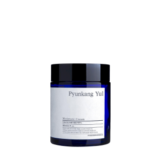 Pyunkang Yul Basic Day Cream 100ml (8809486680049)