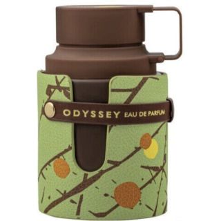 Armaf Odyssey EDP 100ml (6295199804360)