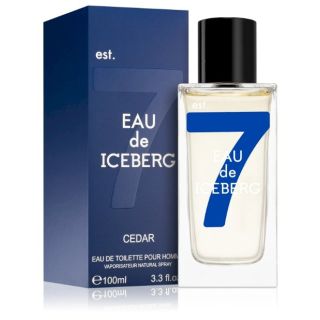 Iceberg Eau de Iceberg EDT 100ml (8057714450876)