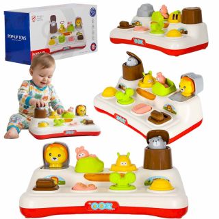 RoGer Pop‑up Educational Toy (5903039770058)