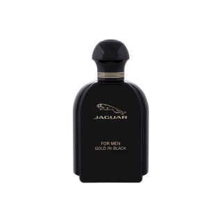 Jaguar for Men EDT 100ml (7640171190792)