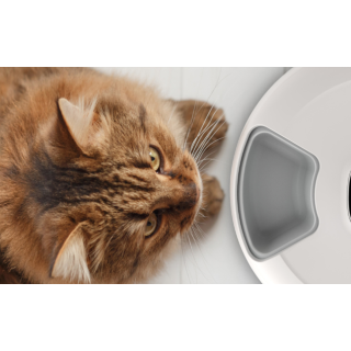 Petoneer NutriSpin Food Dispenser Bluetooth / 720g (PN-110027-01)