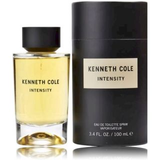 Kenneth Cole Intensity Perfume EDT 100 ml (608940577622)
