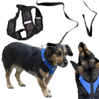 RoGer Adjustable non-pressure dog harness with leash XL (5903039759855)