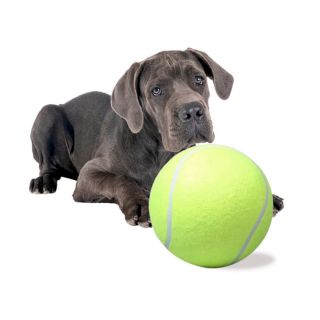 RoGer Giant Tennis Ball Dog Toy XXL (5903039724044)