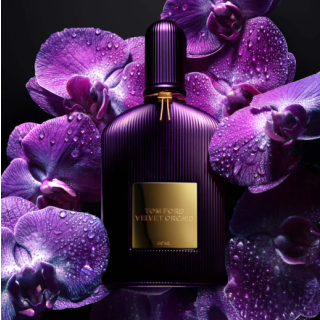 Tom Ford Velvet Orchid Perfume EDP 50 ml (0888066023948)
