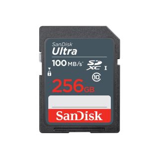 SanDisk Ultra SDXC UHS-I Memory card 256GB (SDSDUNR-256G-GN3IN)