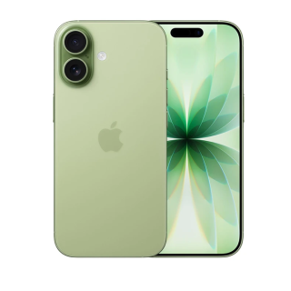 Apple iPhone 17 Smartphone 512GB Sage (MG6V4HX/A)