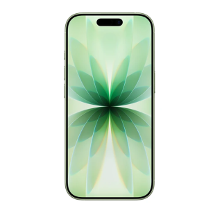 Apple iPhone 17 Smartphone 512GB Sage (MG6V4HX/A)