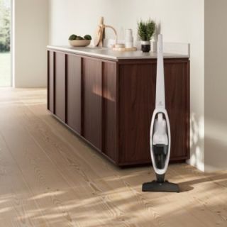 Electrolux ES31CB18SH Vacuum cleaner (ES31CB18SH)