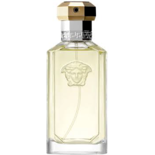 Versace Dreamer Perfume EDT 100 ml Tester (8011003997848)
