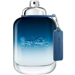 Coach Blue Perfume EDT 100 ml Tester (3386460113731)