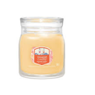 Yankee Candle Slopeside Spritz Scented Candle 368 g (5038581167206)