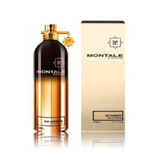 Montale Intense Amber Perfume EDP 100 ml (3760260454148)