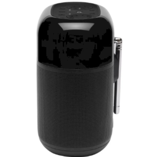 JBL Tuner XL Black (JBLTUNERXLBLKEUNA)