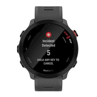 Garmin Forerunner 55 GPS Watch / monterra grey (010-02562-13)