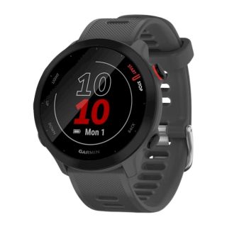 Garmin Forerunner 55 GPS Watch / monterra grey (010-02562-13)