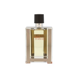 Hermes Terre d'Hermes EDT 100ml (TESTER) (3346131400027)