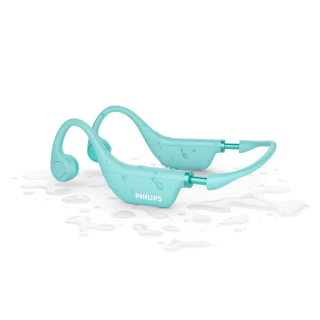 Philips TAK4607GR/00 Wireless headphones (TAK4607GR/00)