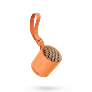 Sony SRS-XB100 Bluetooth Portable Speaker (SRSXB100D.CE7)
