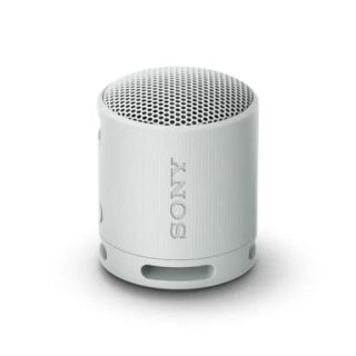 Sony SRS-XB100 Bluetooth Portable wireless speaker Light grey (SRSXB100H.CE7)