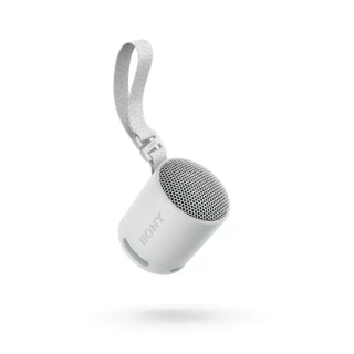 Sony SRS-XB100 Bluetooth Portable wireless speaker Light grey (SRSXB100H.CE7)