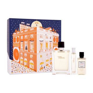 Hermes Terre d'Hermes EDT 100ml (3346130022893)