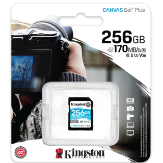 Kingston 256GB Canvas Go Plus Memory Card (SDG3/256GB)