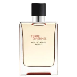 Hermes Terre d'Hermes EDP 100ml (3346130424116)