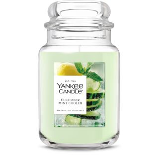 Yankee Candle Cucumber Mint Cooler 22 g (5038581149585)