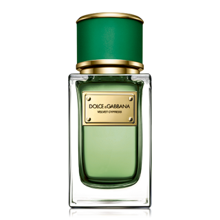 Dolce & Gabbana Velvet Cypress EDP U 150 ml (730870225509)
