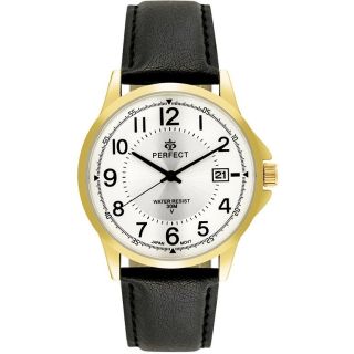 PERFECT Men's Watch C710T-09 / black (C710T-09)
